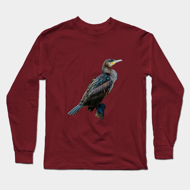 Cormorant Long Sleeve T-Shirt by dalyndigaital2@gmail.com